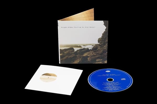 Polygon Window - Surfing On Sine Waves (CD)