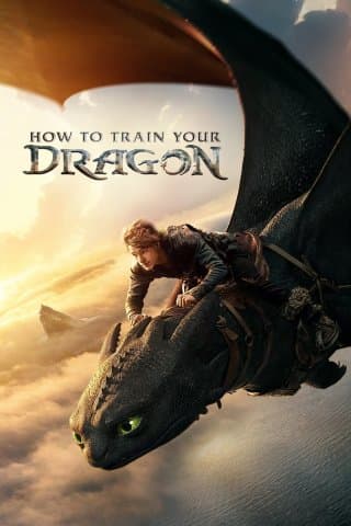 How to Train Your Dragon (Import)