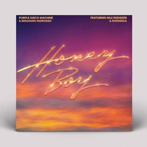 PURPLE DISCO MACHINE, BENJAMIN INGROSSO - Honey Boy (feat. Nile Rodgers & Shenseea)