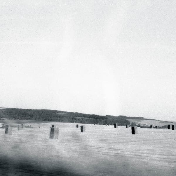 Drone - Feral (CD)