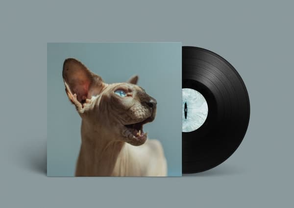 Princess Thailand - Golden Frames (LP)