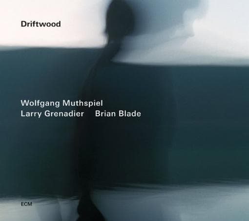 Wolfgang Muthspiel, Larry Grenadier, Brian Blade - Driftwood (CD)