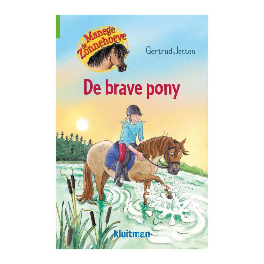 Manege de Zonnehoeve. De brave pony
