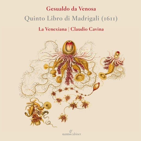 La Venexiana & Claudio Cavina - Gesualdo: Quinto Libro Di Madrigali (1611) (CD)