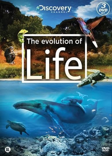 Evolution of life