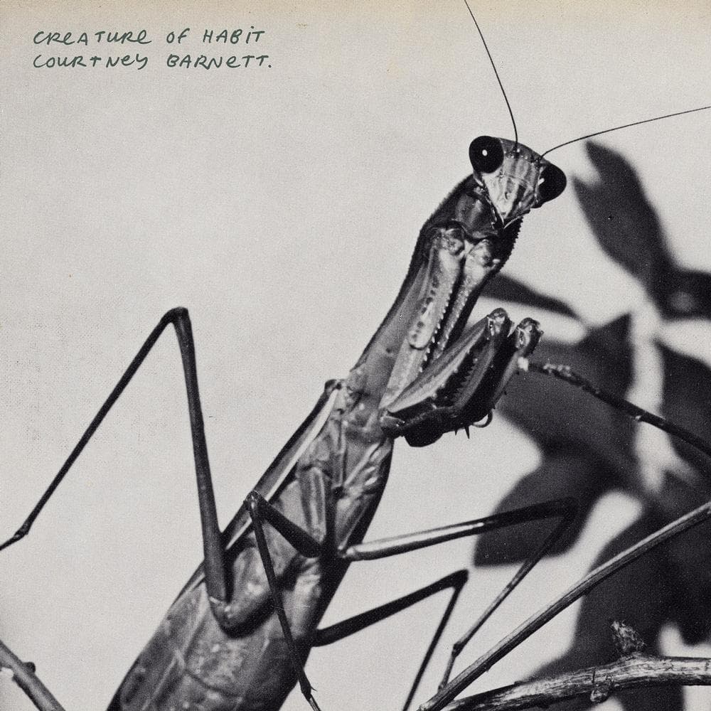Courtney Barnett - Creature Of Habit (LP)