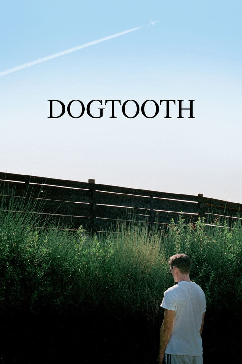 Dogtooth (Import)
