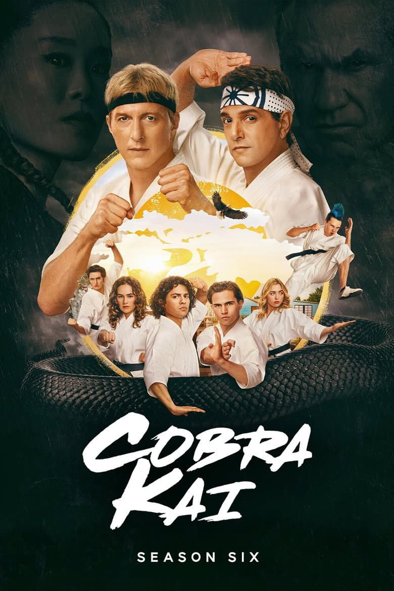 Cobra Kai - Season 06 (Import)