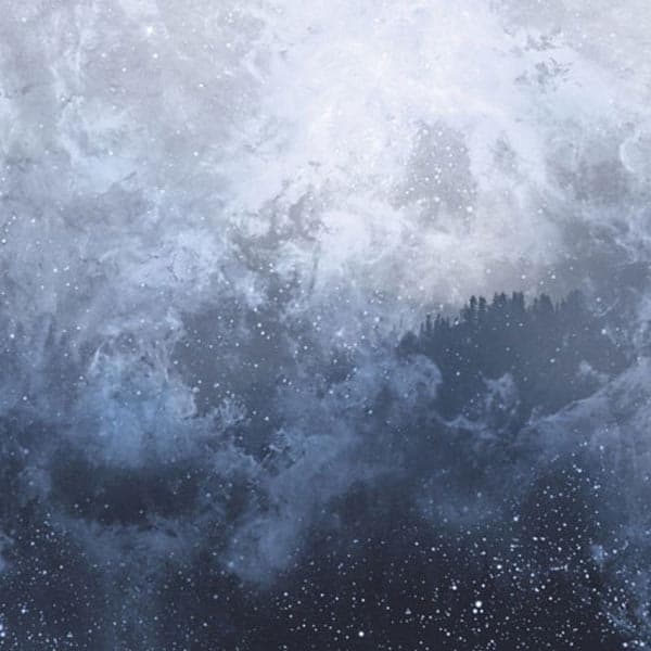 Wolves In The Throne Room - Celestite (CD)