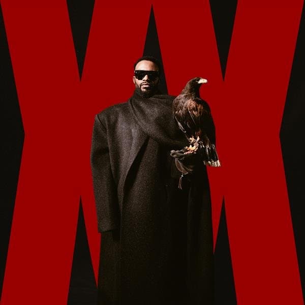 Fally Ipupa - XX (2 LP)