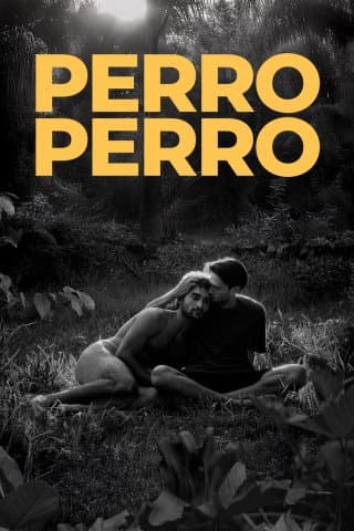 Perro Perro (Import)