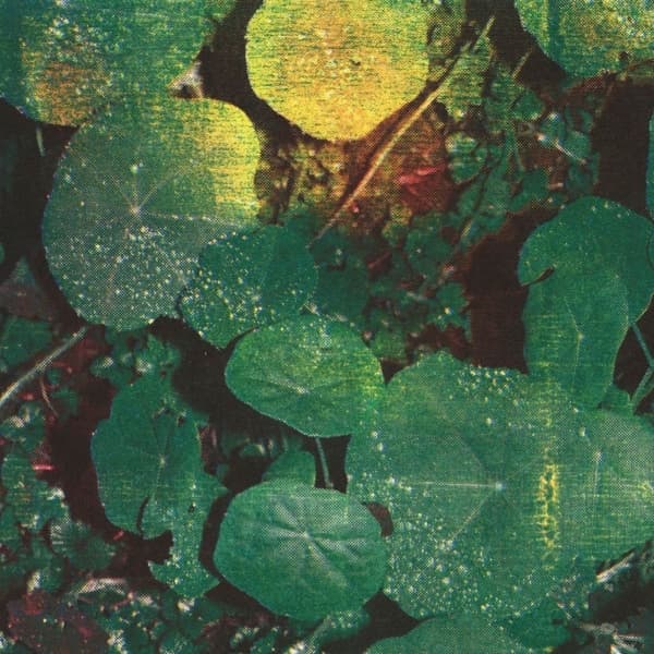 Whoman - About Honey (CD)