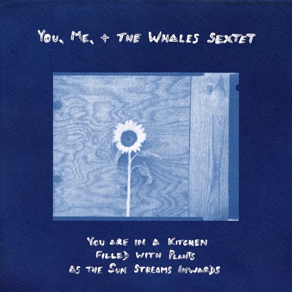 You, Me, + The Whales Sextet - You Are In A Kitchen Filled With Plants As The Sun Streams Inwards (LP)