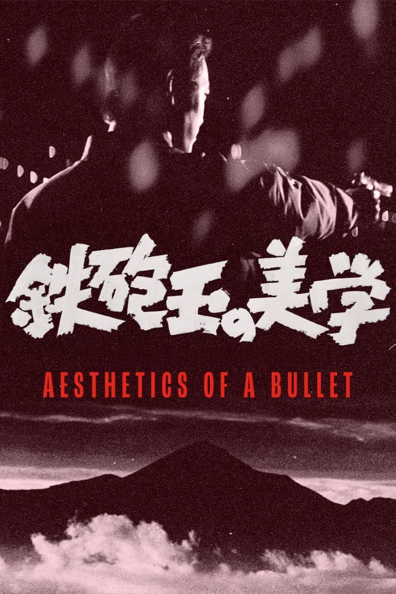 aesthetics of a bullet (Import)