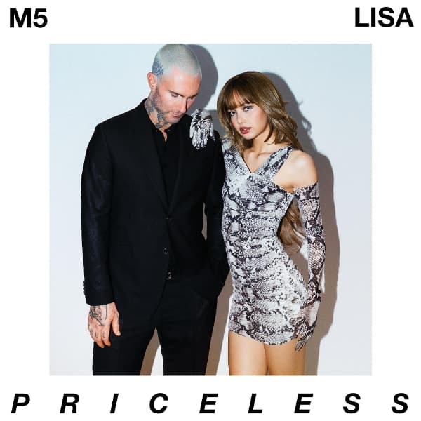 Lisa & Maroon 5 - Priceless (7" Single) (Picture Disc)