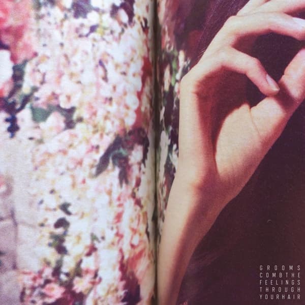 Grooms - Comb The Feelings Through Your Hair (CD)
