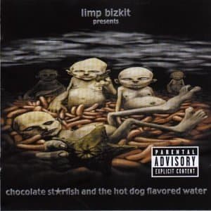 Limp Bizkit - Chocolate Starfish