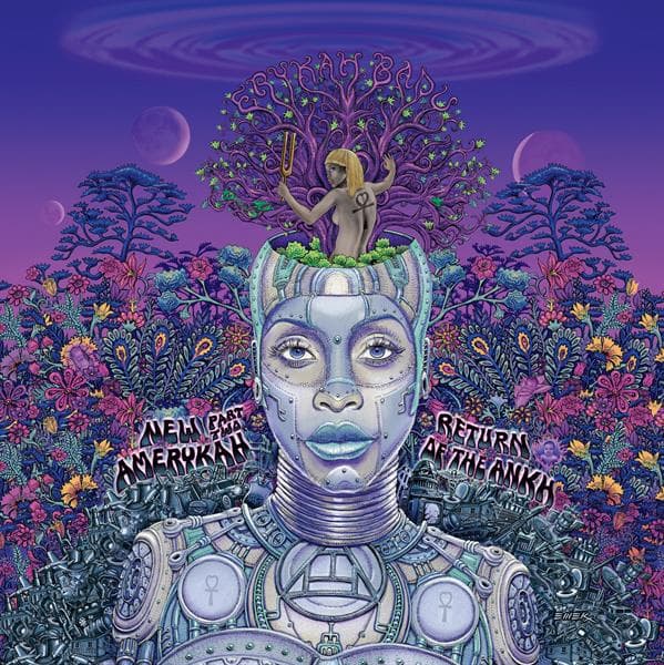 Erykah Badu - New Amerykah Part Two: Return Of The Ankh (2 LP)