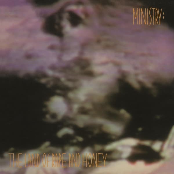 Ministry - The Land Of Rape And Honey (LP)