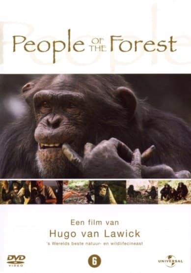 People of The forest (DVD)