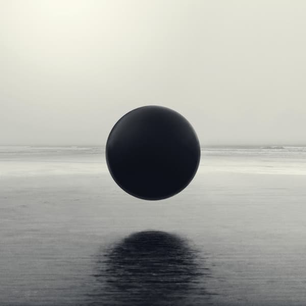 Braids - Flourish//Perish (2 LP)
