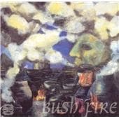 Louis Moholo, Evan Parker, Pule Pheto, Gibo Pheto, Barry Guy Quintet - Bush Fire (CD)