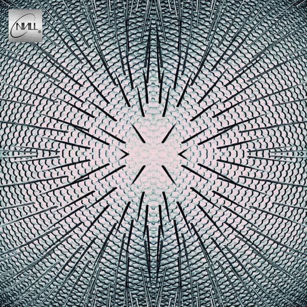 Null - Almost (LP) (Mini-Album)