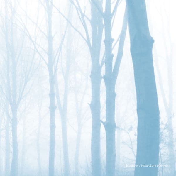 Blueneck - Scars Of The Midwest (LP)