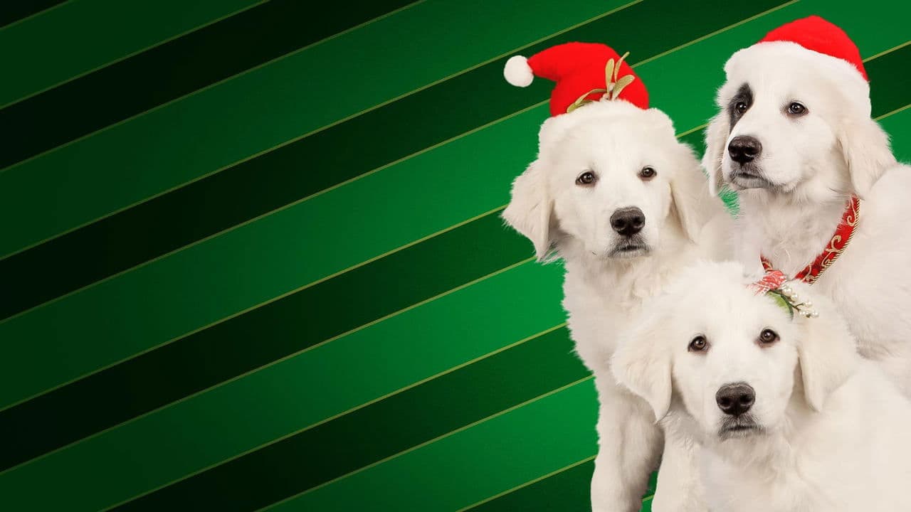 Santa buddies