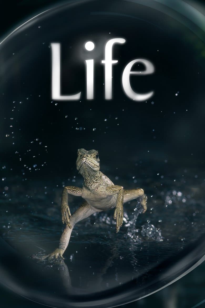 BBC Earth - Life (Blu-ray)