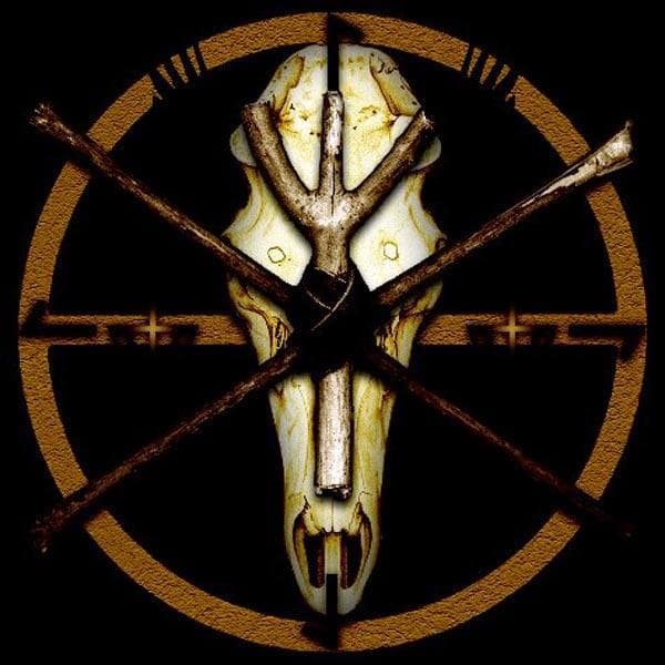 Blood Of The Black Owl - A Feral Spirit (2 LP)