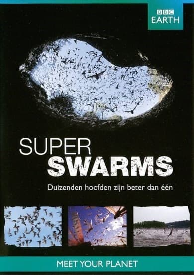 BBC Earth - Superswarms (DVD)
