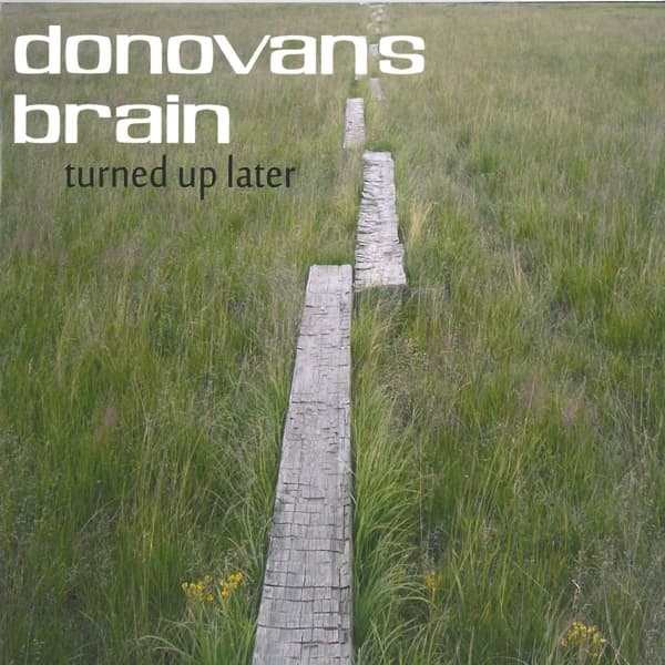Donovan's Brain - Turned Up Later (CD | 2 LP)
