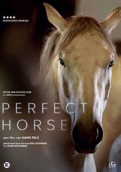 Perfect horse (DVD)