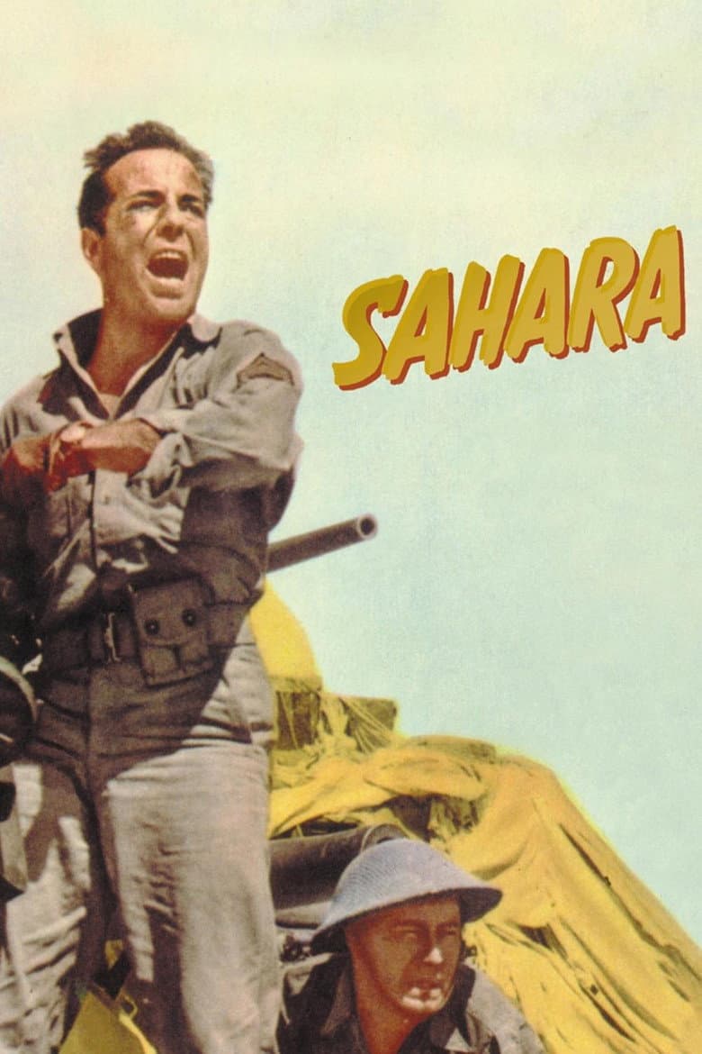 Sahara (DVD)