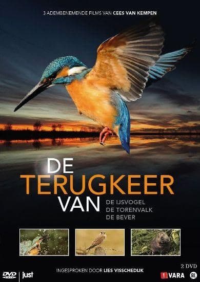 Terugkeer Van De Ijsvogel, Torenvalk En Bever (DVD)