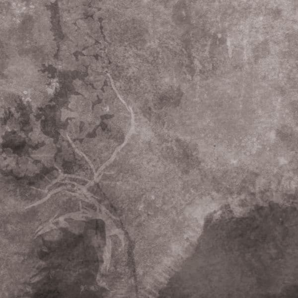 Multicast Dynamics - Scandinavia (2 LP)