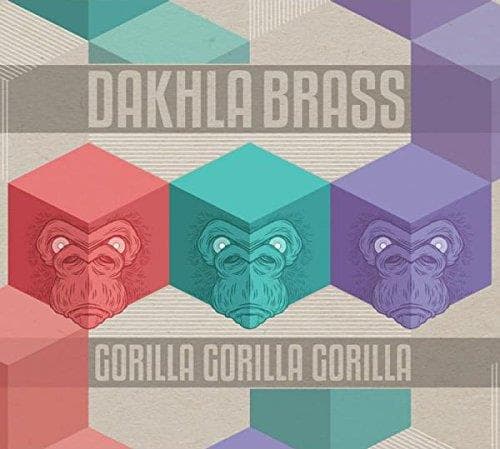 Dakhla - Gorilla Gorilla Gorilla