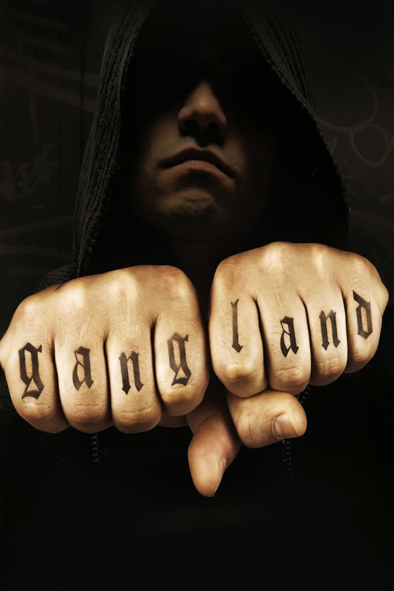 Gangland - Seizoen 4 (Blu-ray)