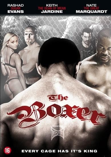 Boxer