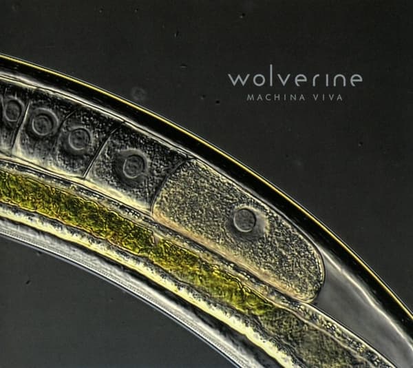 Wolverine - Machina Viva (CD)