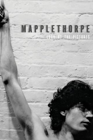 Mapplethorpe: Look At The Pictures (Import)