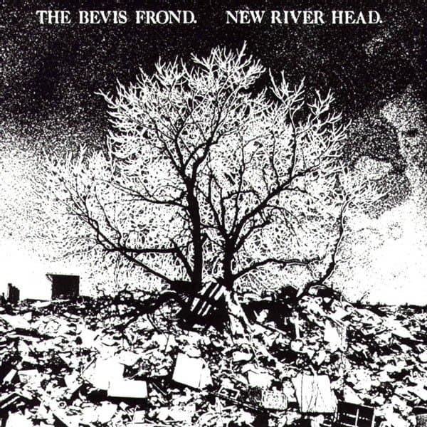 Bevis Frond - New River Head (2 LP)