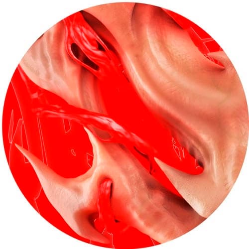 Endgame - Flesh EP (12" Single)