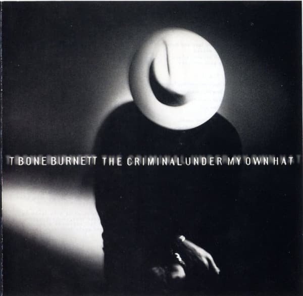 The Criminal Under My Own Hat