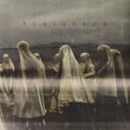 Pleiadees - Pleiadees (LP)