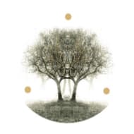 Lili Refrain - Ulu (LP) (Picture Disc)