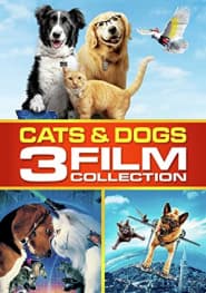 Cats & Dogs 3 Film Collection (Import)