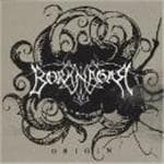 Borknagar - Origin