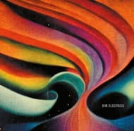 Dim Electrics - Dim Electrics (LP)